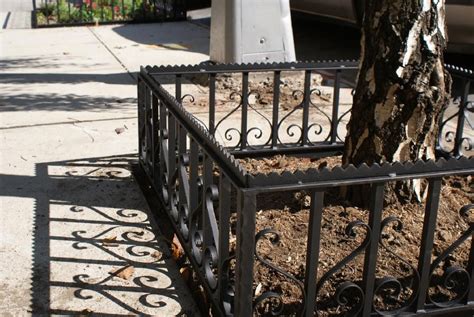 dc metal street tree box fence|Tree Preservation .